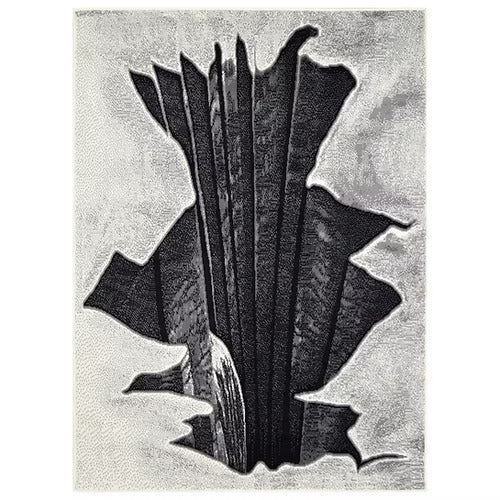 Moderno 6 Grey American Cover Design