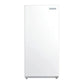 21 FT Upright Freezer Climatic