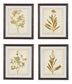 Dyani Wall Art Set (4/CN) Signature Design by Ashley®