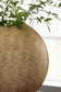 Iansboro Vase Signature Design by Ashley®