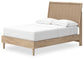 Cielden Full Panel Bed with Dresser Signature Design by Ashley®